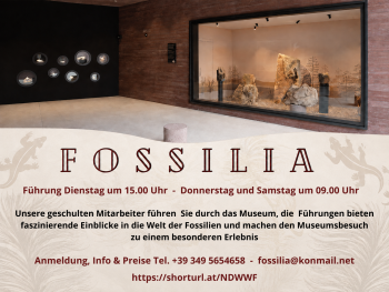Fossilia - Visita guidata al museo