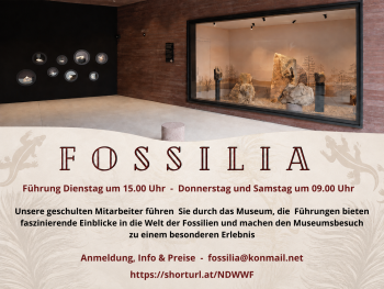 Fossilia - Visita guidata al museo