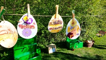 Botanische Schatzsuche