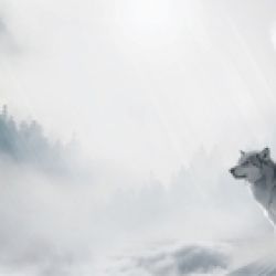 Die Wölfe