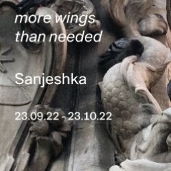 more wings than needed. Sanjeshka