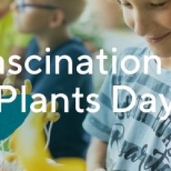 Fascination of Plants Day: Una giornata dedicata alla botani
