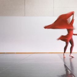 BZ danza: RACHID OURAMDANE / CHAILLOT Le Secret des oiseaux