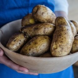 Autunno montano: Le patate - Dall'orto al piatto