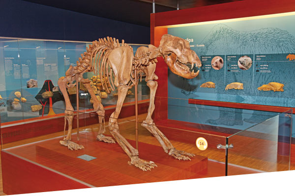 Ladini e orsi preistorici, musei da scoprire
