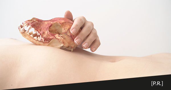 LanaLive: Topographie des Fühlens · Topografie delle emozioni